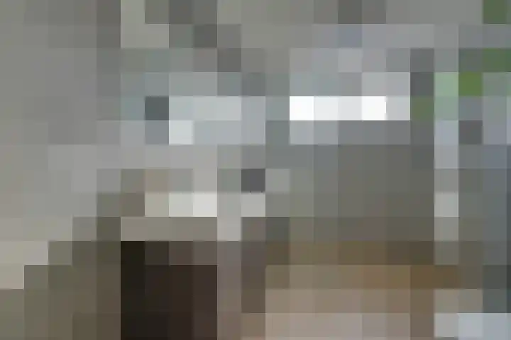 Boterbloem 1 C Purmerend thumbnail 4