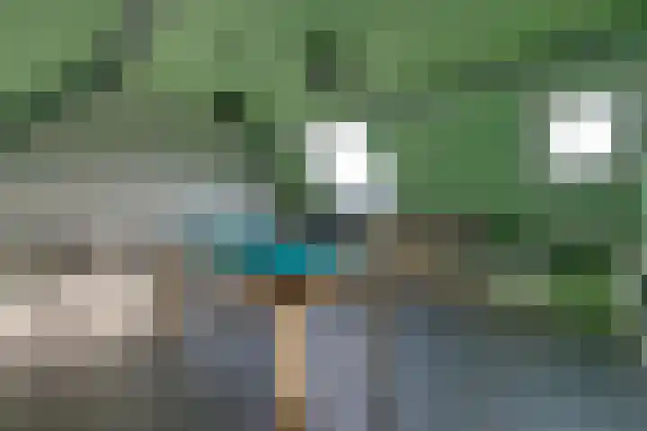 Boterbloem 1 C Purmerend thumbnail 40