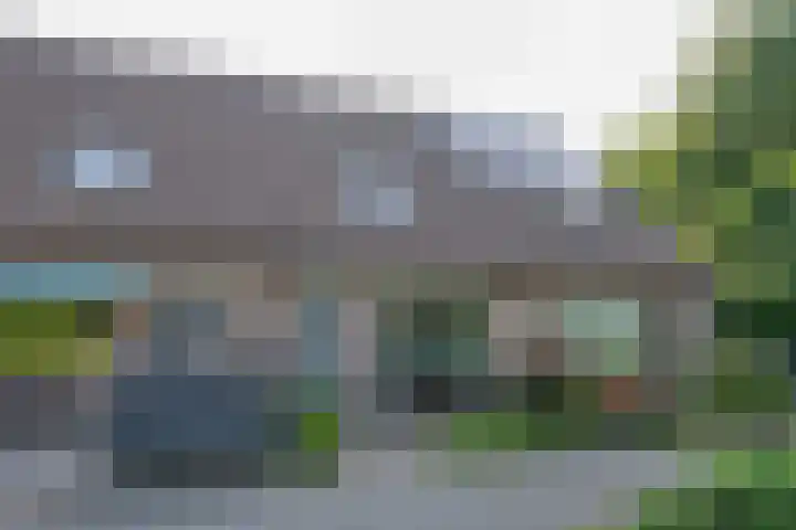 Boterbloem 1 C Purmerend thumbnail 5