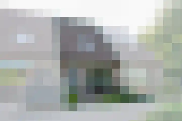 Boterbloem 1 C Purmerend thumbnail 6