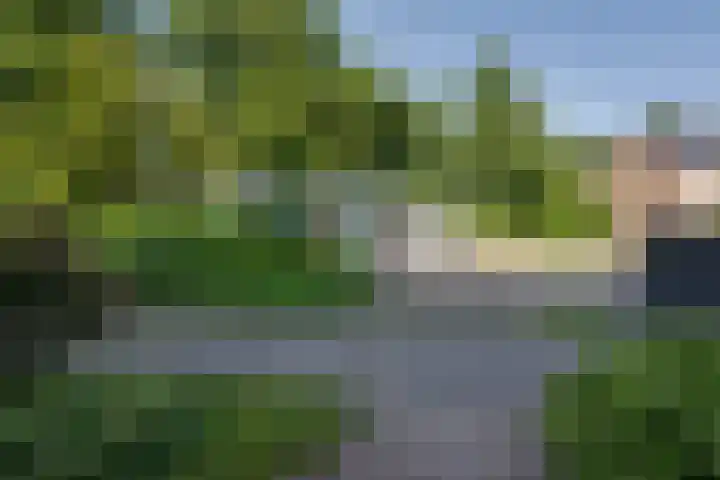 Boterbloem 1 C Purmerend thumbnail 8