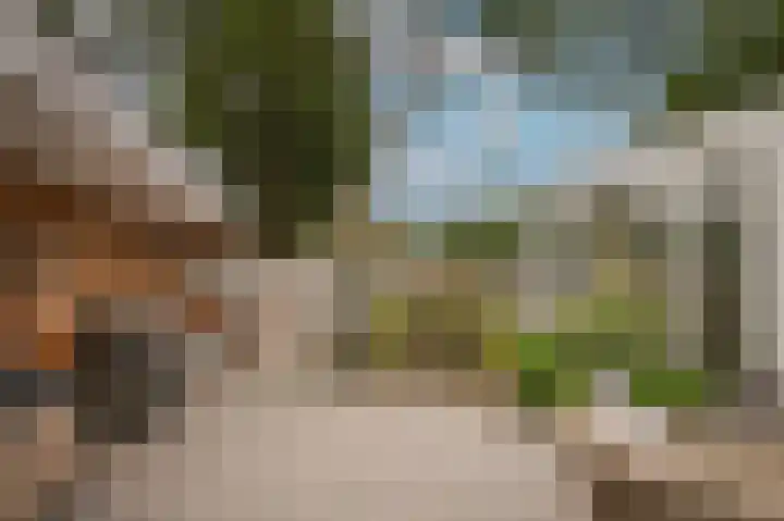 Boterbloem 1 Culemborg thumbnail 41