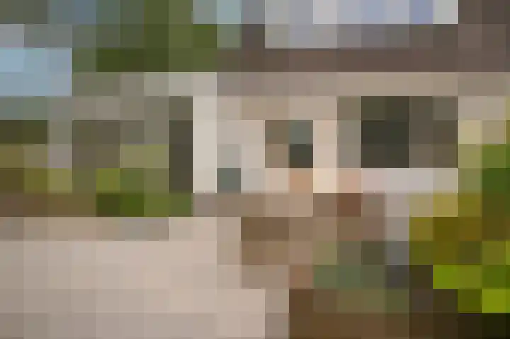 Boterbloem 1 Culemborg thumbnail 5