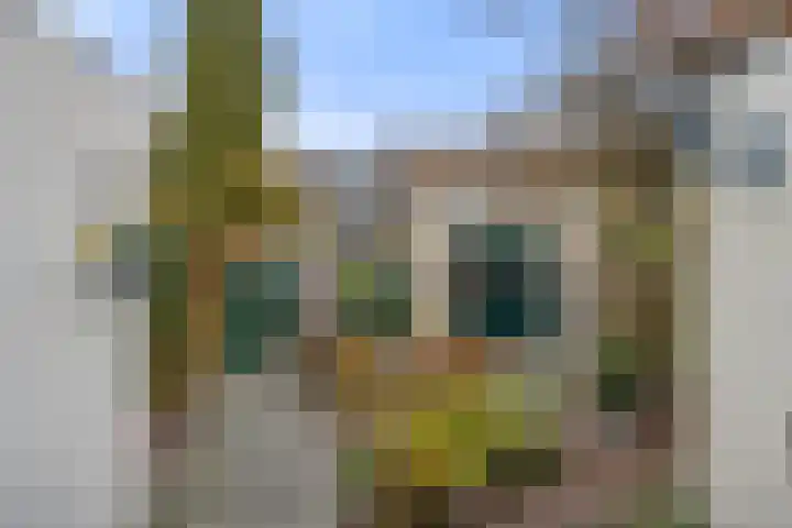 Boterbloem 10 Bennekom thumbnail 10