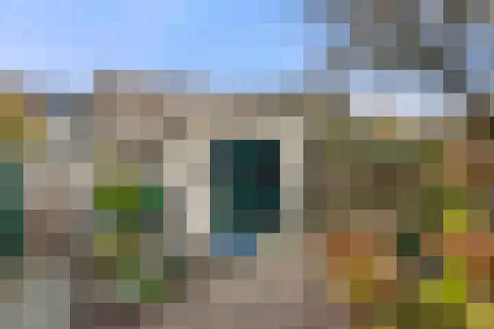 Boterbloem 10 Bennekom thumbnail 11