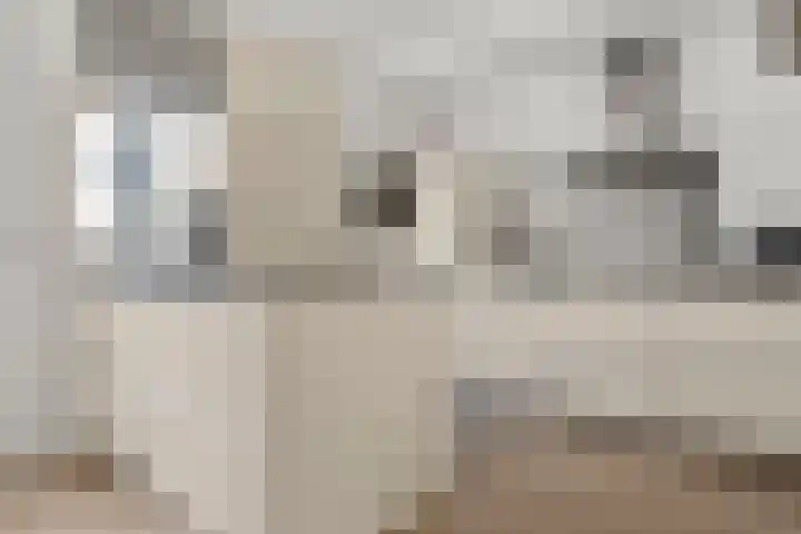 Boterbloem 10 Bennekom thumbnail 20