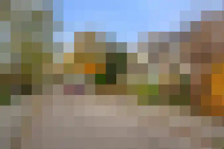 Boterbloem 10 Bennekom thumbnail 4