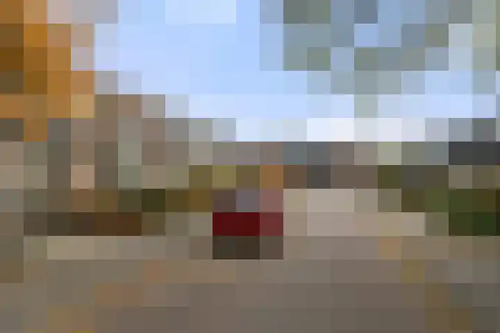 Boterbloem 10 Bennekom thumbnail 5