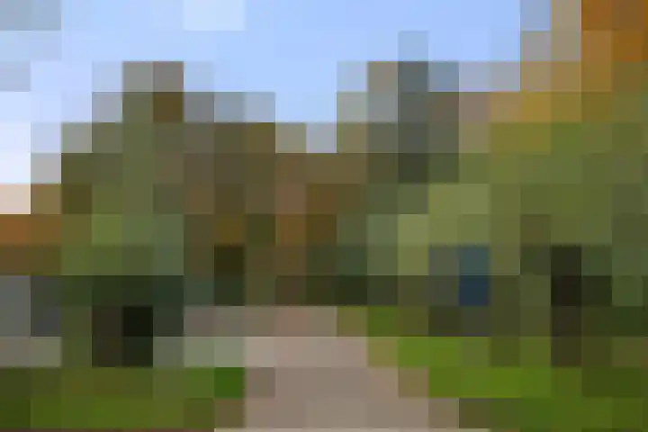 Boterbloem 10 Bennekom thumbnail 6