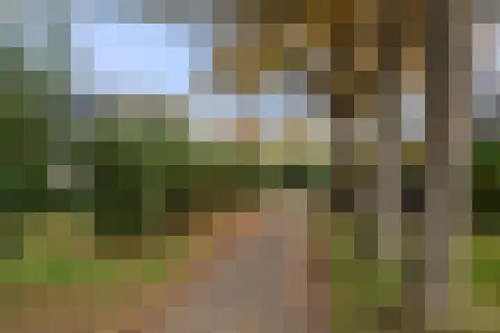 Boterbloem 10 Bennekom thumbnail 7