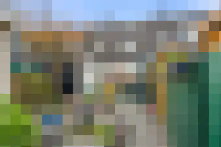 Boterbloem 10 Bennekom thumbnail 8