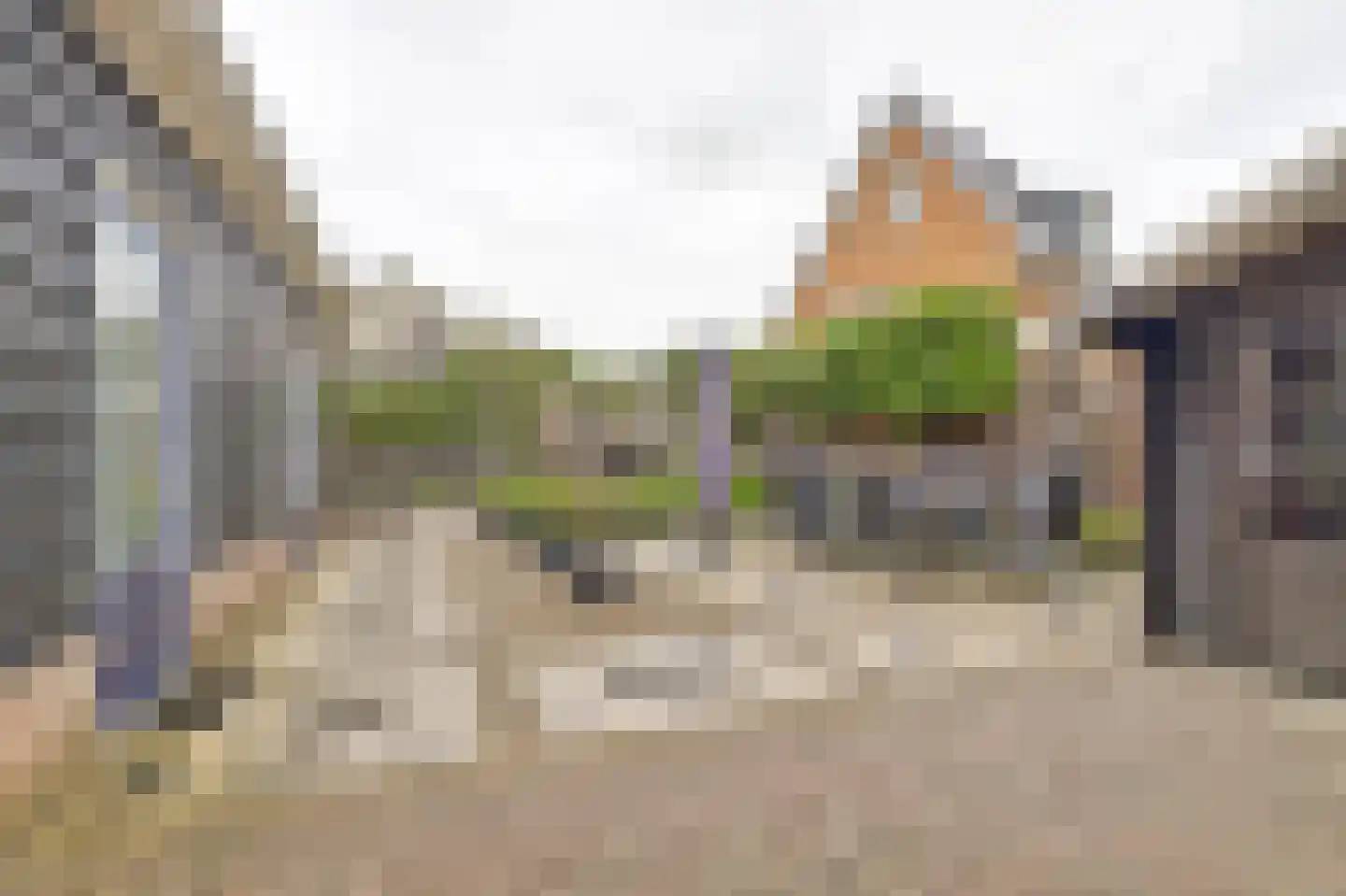 Boterbloem 11 Kapelle thumbnail 44