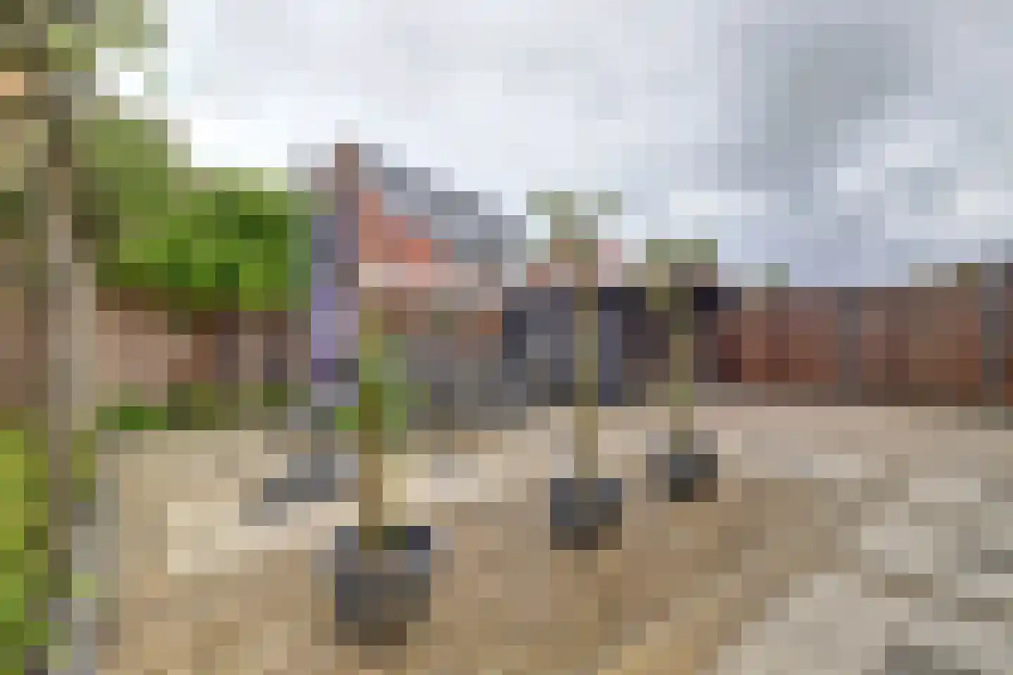 Boterbloem 11 Kapelle thumbnail 45
