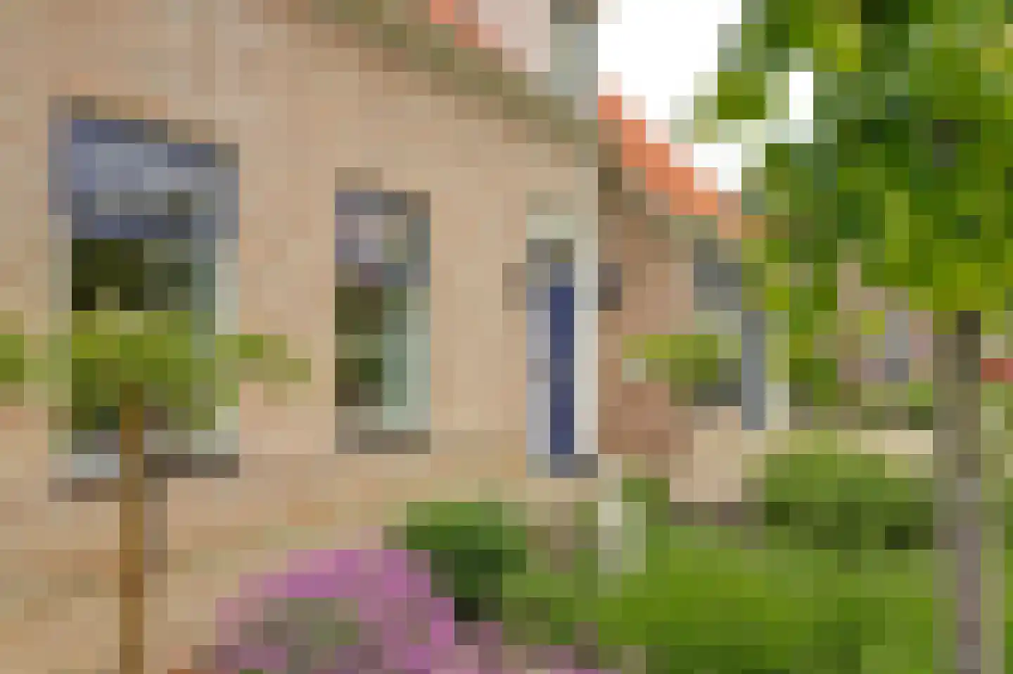 Boterbloem 11 Kapelle thumbnail 5