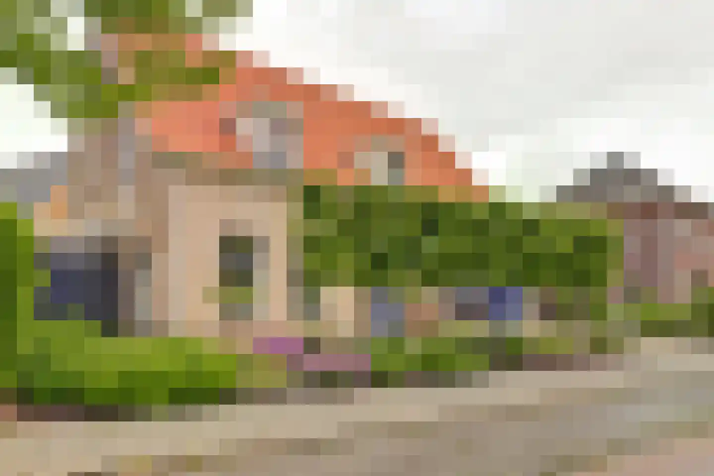 Boterbloem 11 Kapelle thumbnail 50