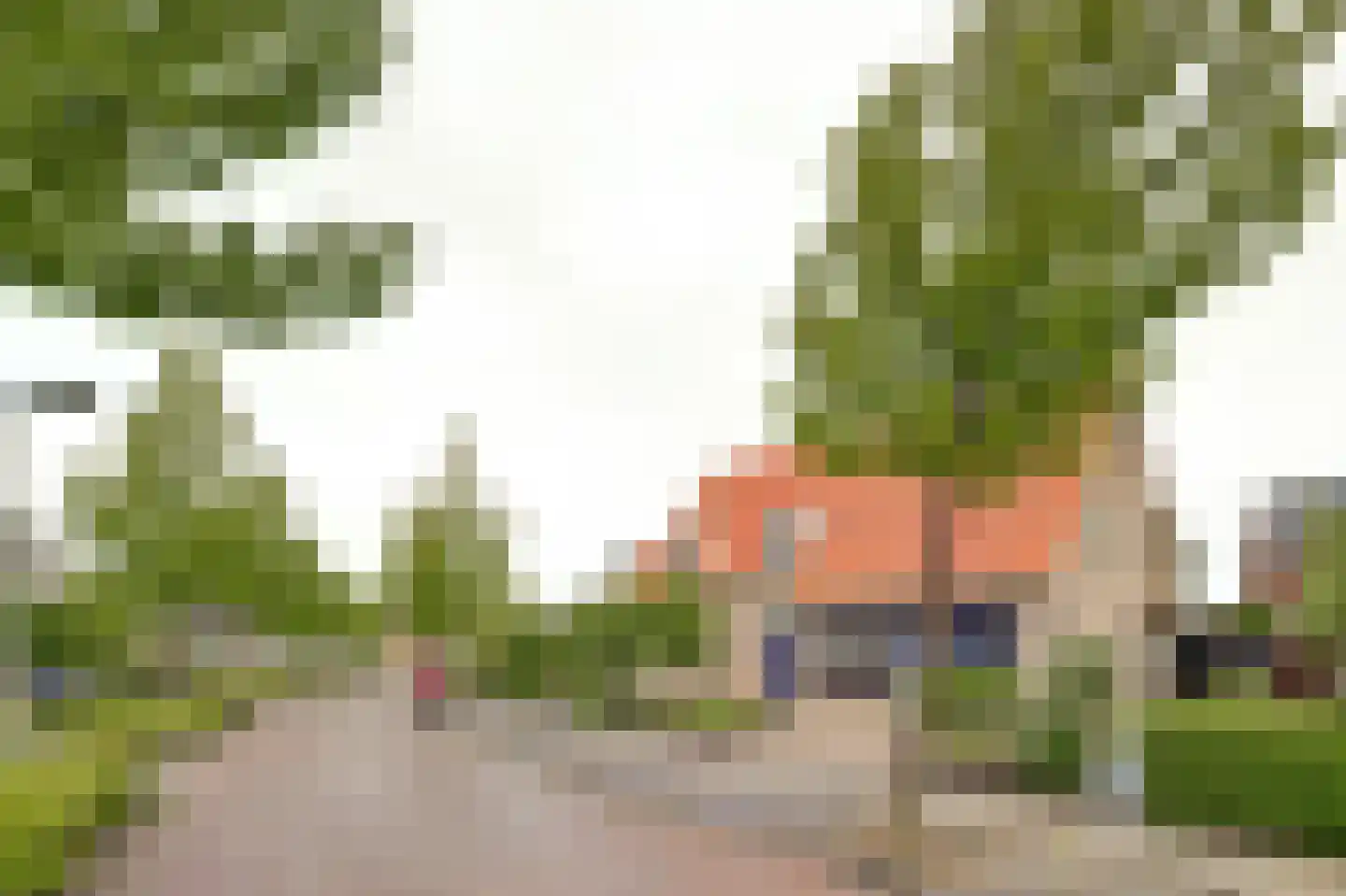 Boterbloem 11 Kapelle thumbnail 51