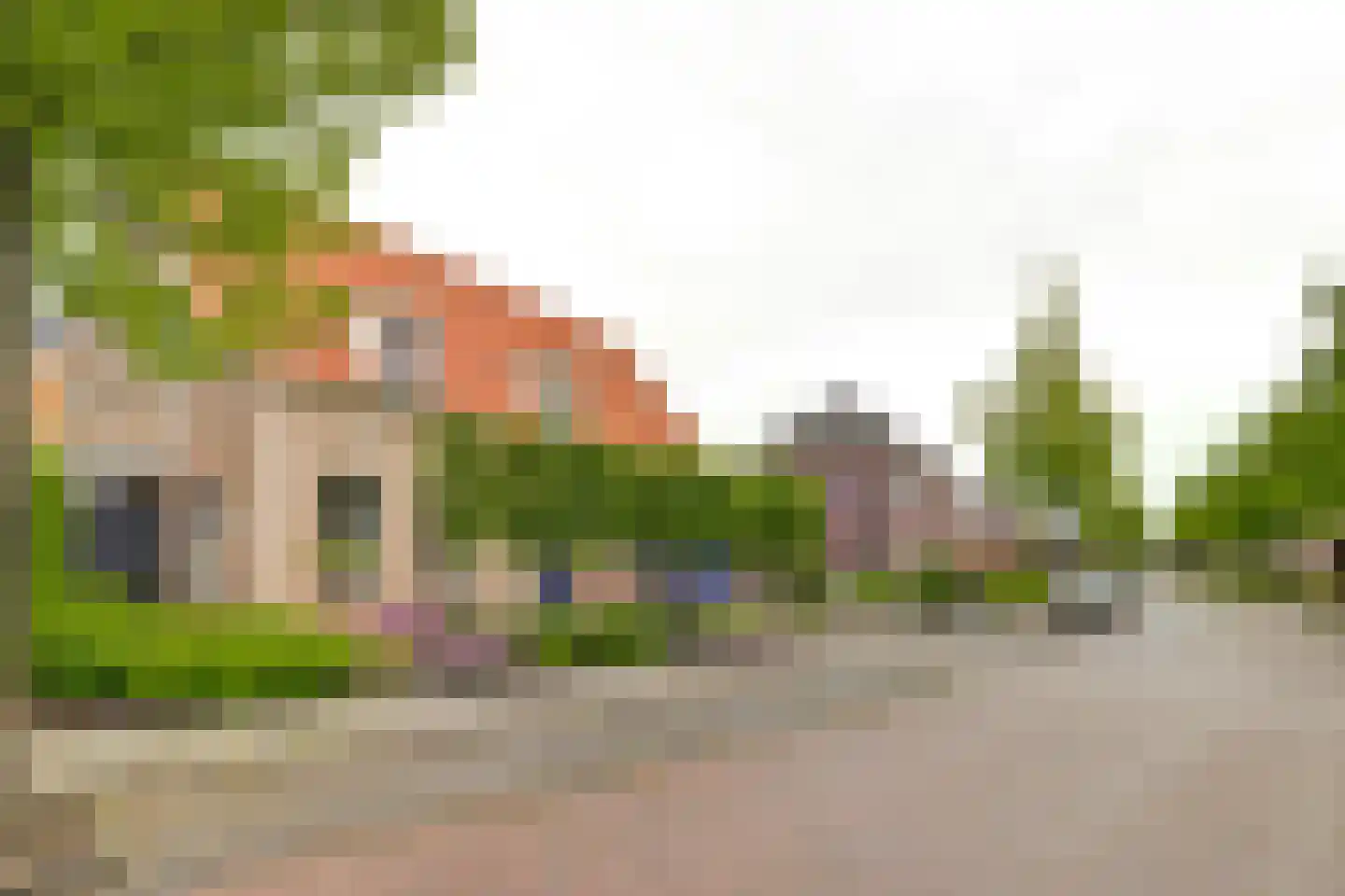 Boterbloem 11 Kapelle thumbnail 52