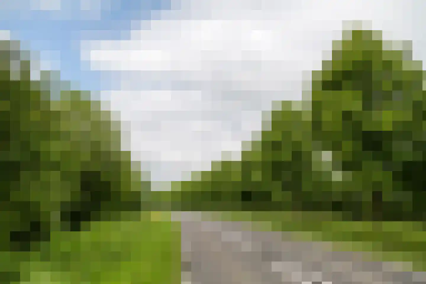 Boterbloem 11 Kapelle thumbnail 60