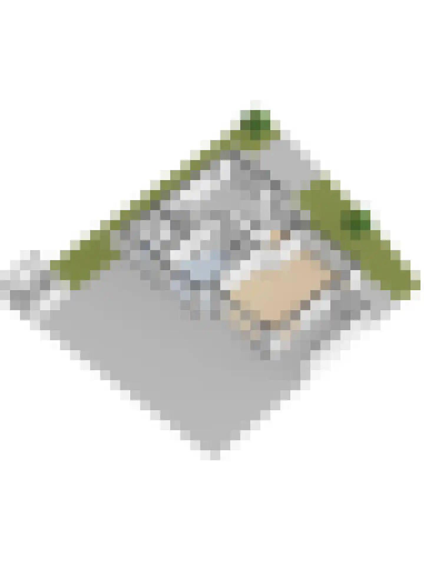 Boterbloem 11 Kapelle thumbnail 69