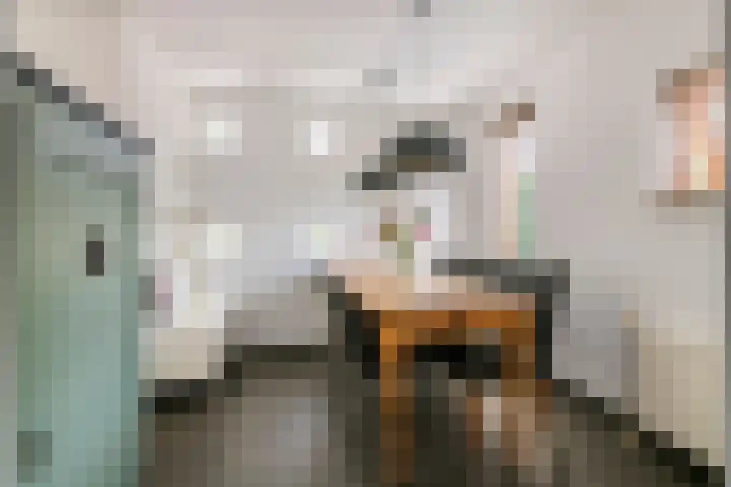 Boterbloem 11 Tiel thumbnail 12