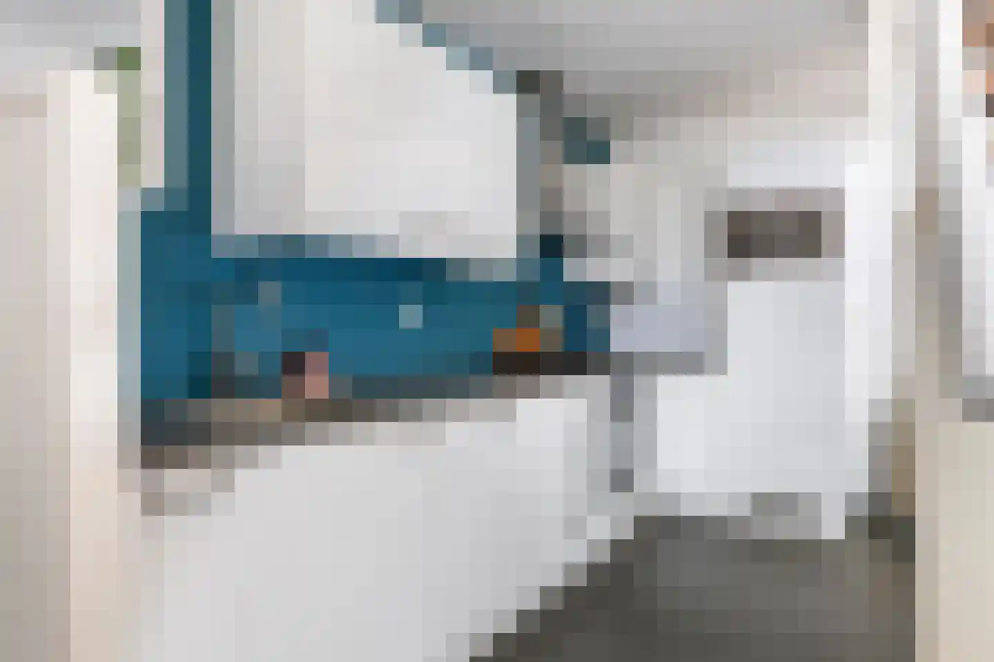 Boterbloem 11 Tiel thumbnail 17
