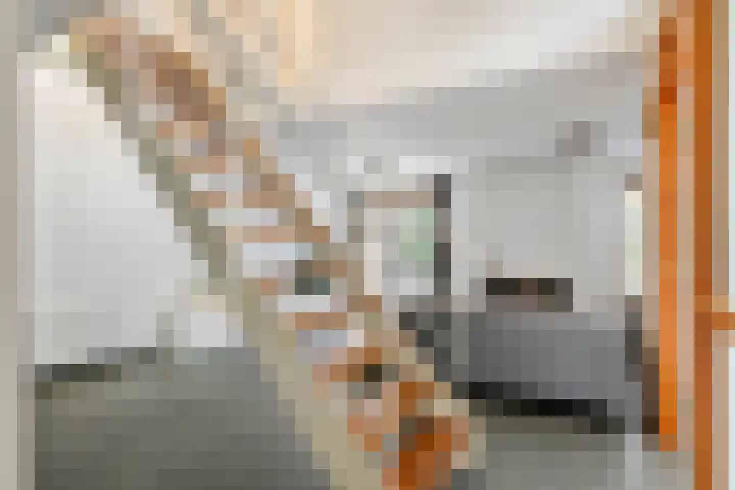 Boterbloem 11 Tiel thumbnail 22