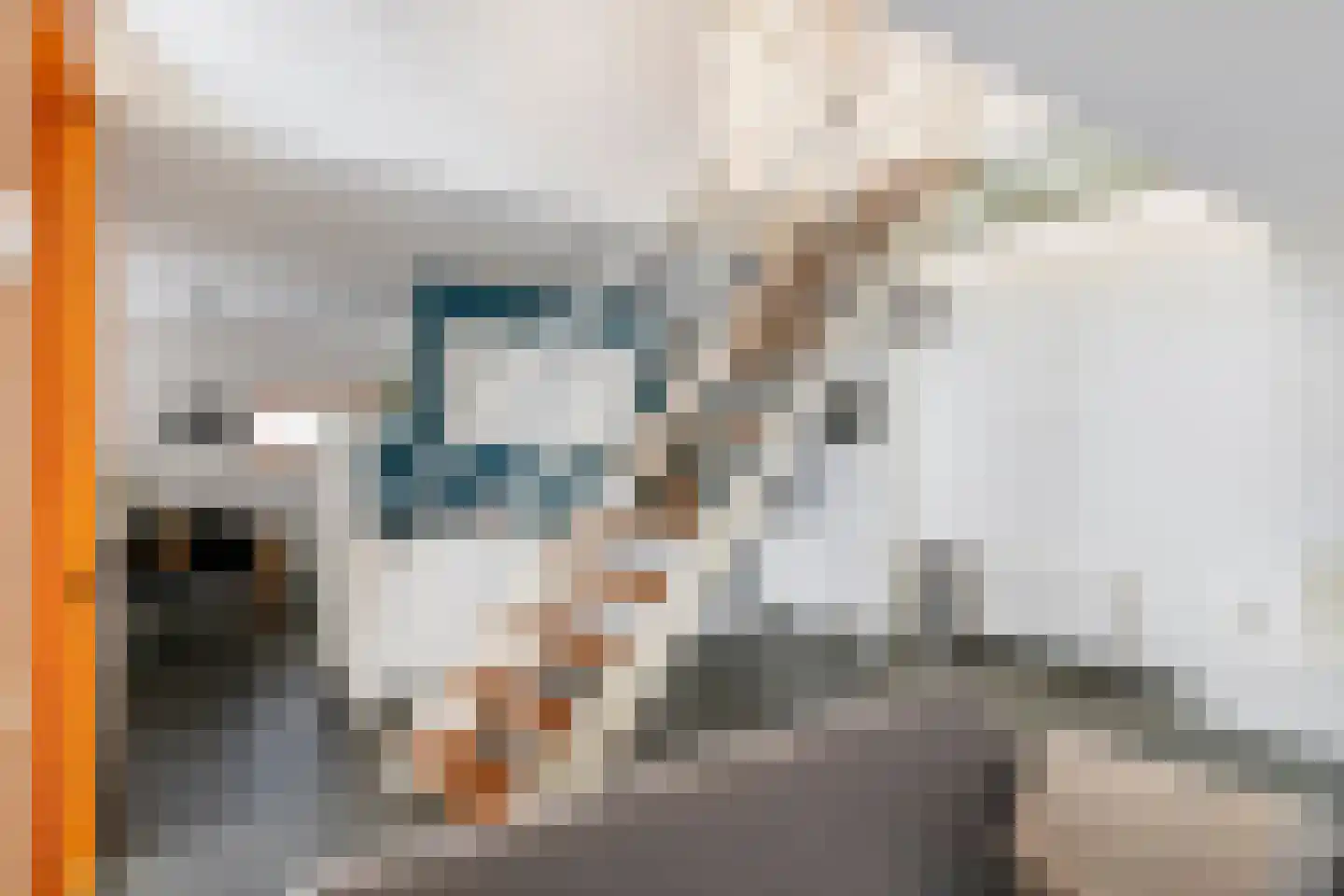 Boterbloem 11 Tiel thumbnail 23