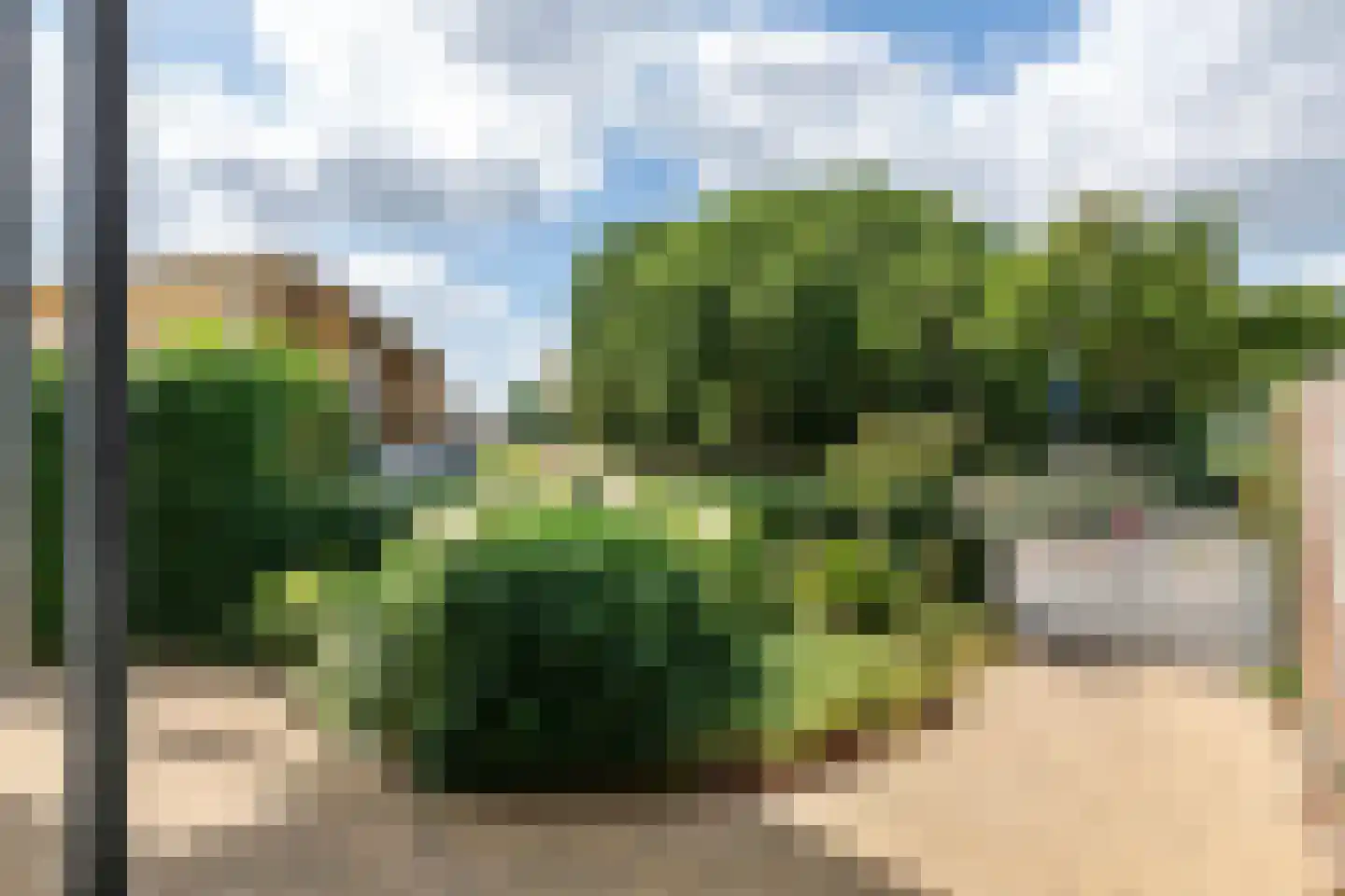 Boterbloem 11 Tiel thumbnail 25