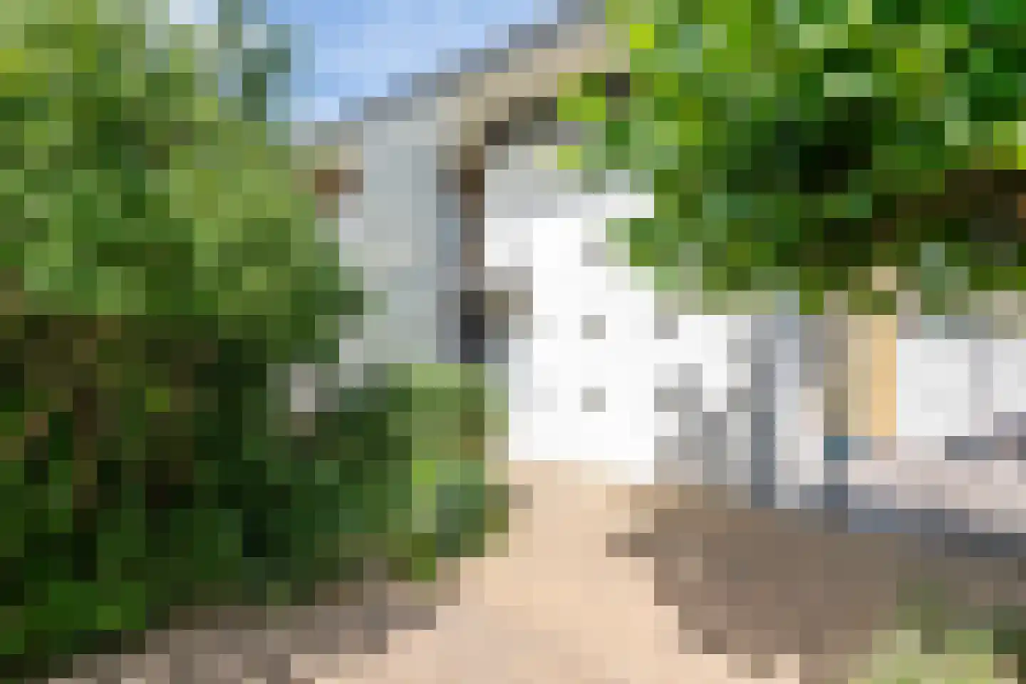 Boterbloem 11 Tiel thumbnail 26