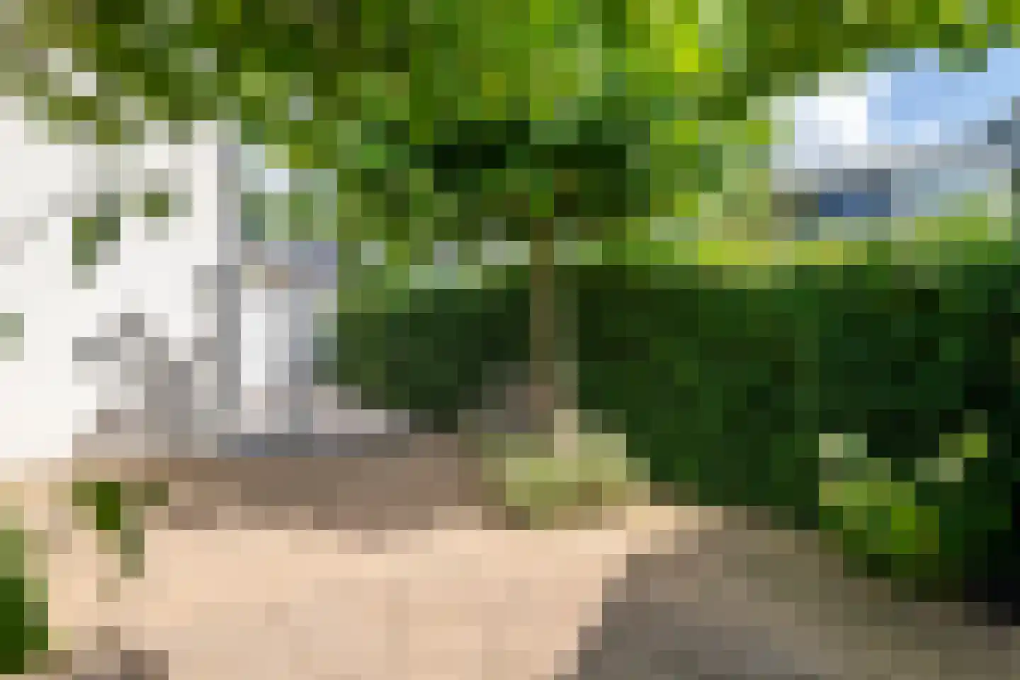 Boterbloem 11 Tiel thumbnail 27