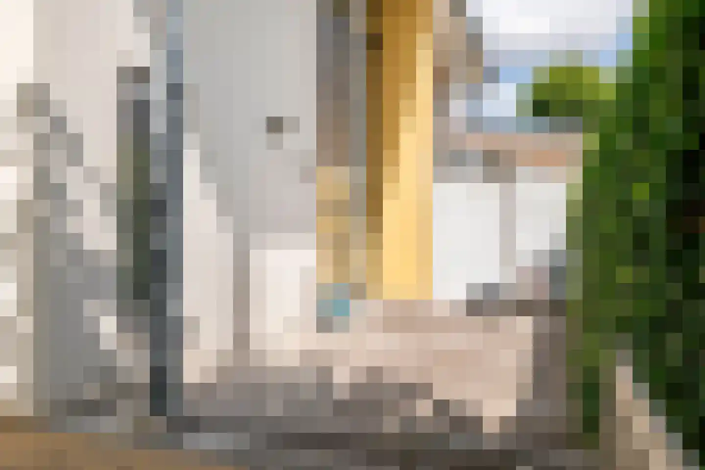 Boterbloem 11 Tiel thumbnail 28