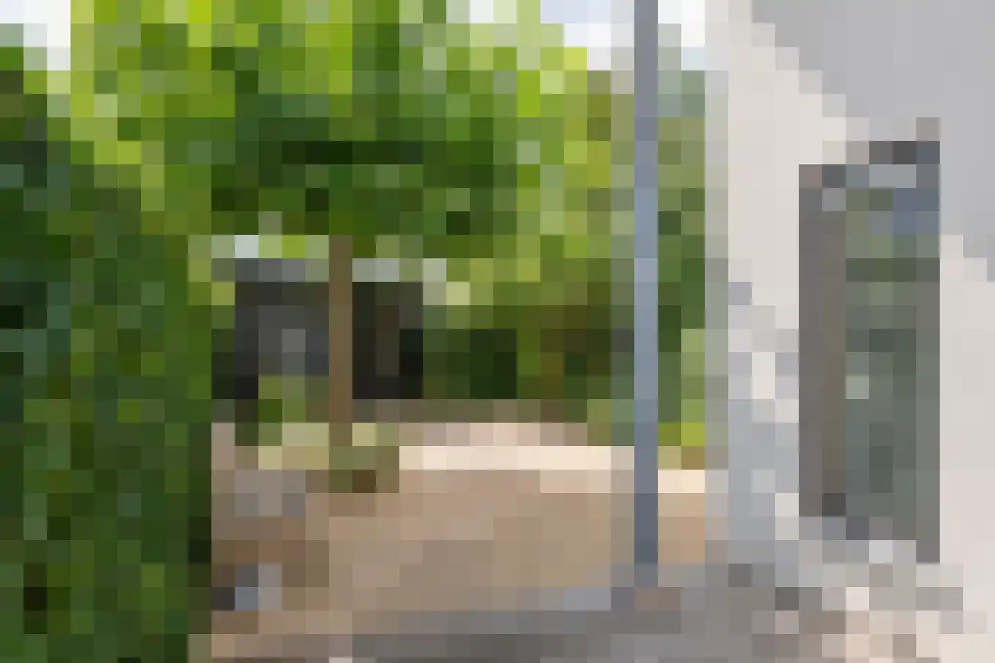 Boterbloem 11 Tiel thumbnail 29