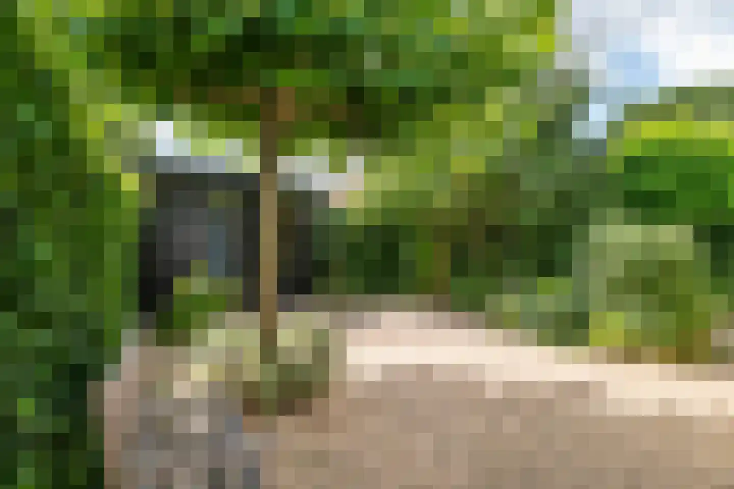 Boterbloem 11 Tiel thumbnail 30