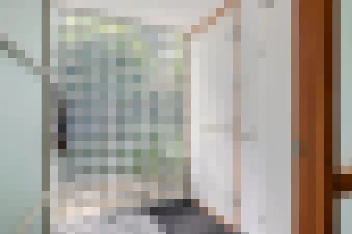 Boterbloem 11 Tiel thumbnail 32