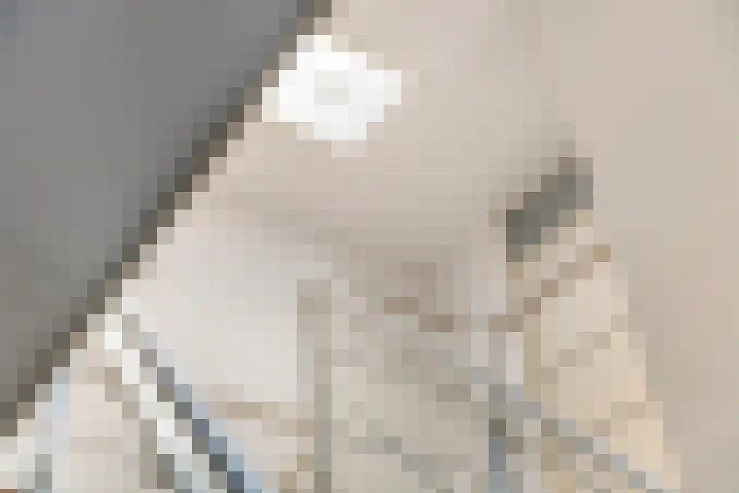 Boterbloem 11 Tiel thumbnail 36