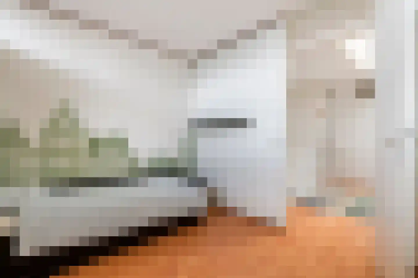 Boterbloem 11 Tiel thumbnail 39