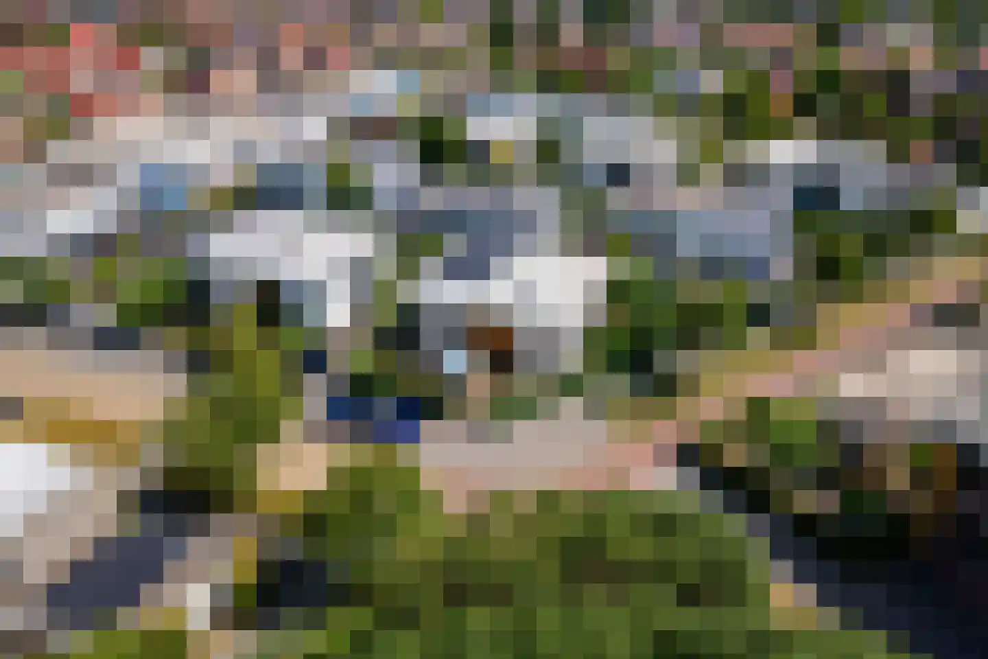 Boterbloem 11 Tiel thumbnail 4