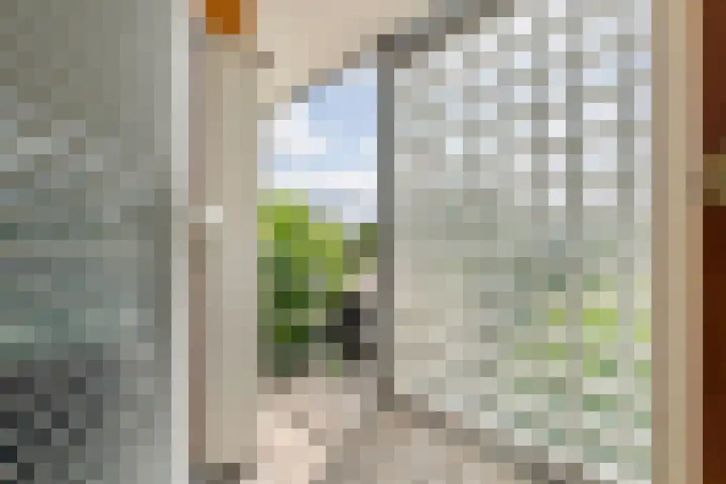 Boterbloem 11 Tiel thumbnail 51