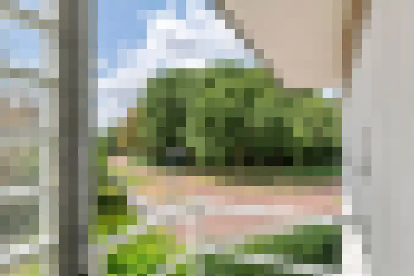 Boterbloem 11 Tiel thumbnail 53