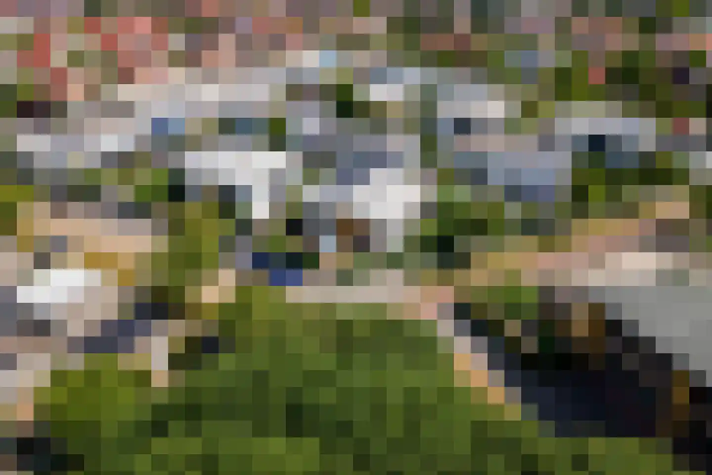 Boterbloem 11 Tiel thumbnail 57