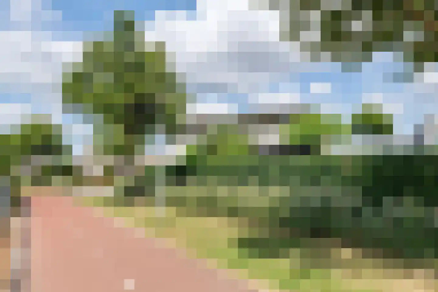 Boterbloem 11 Tiel thumbnail 6