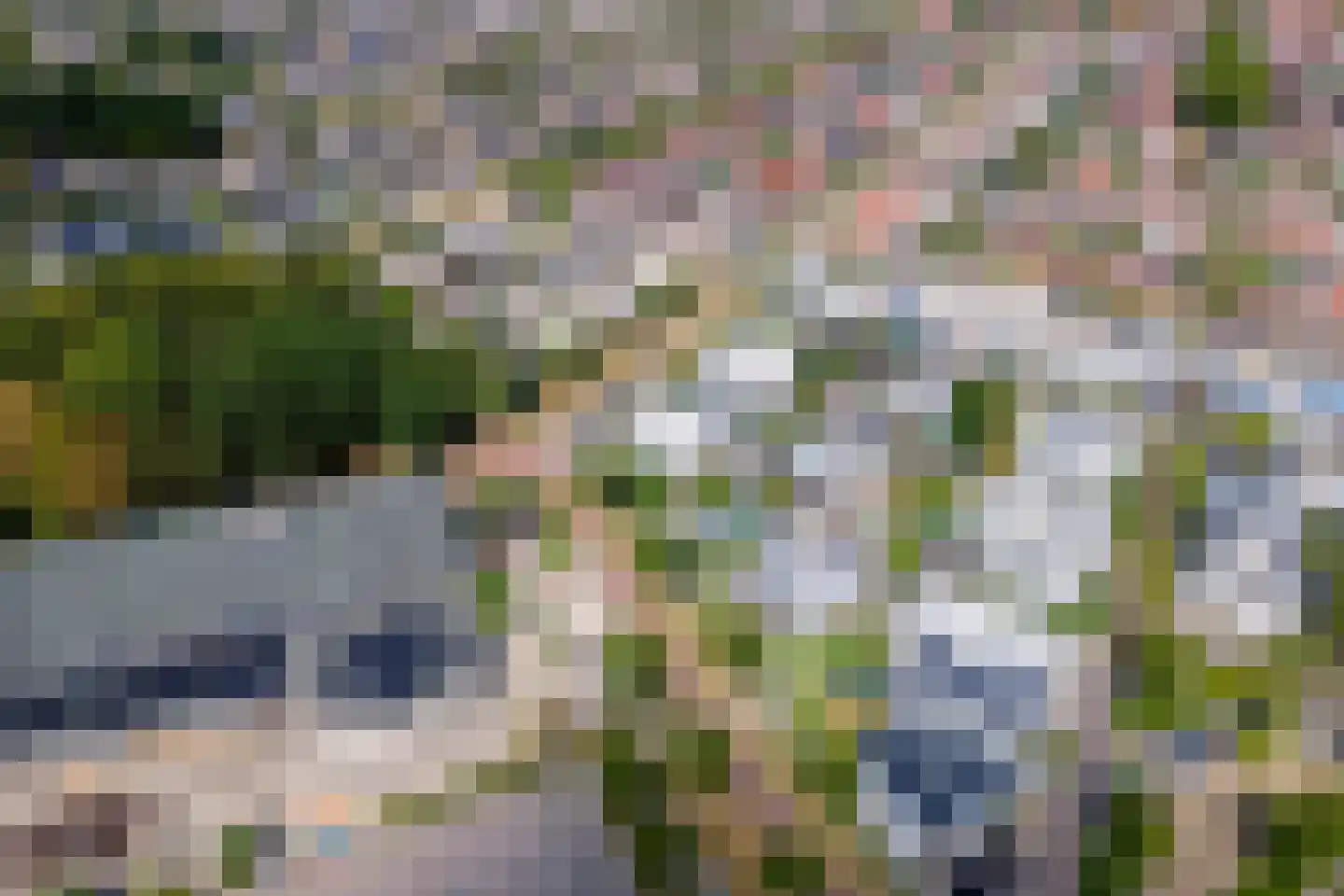 Boterbloem 11 Tiel thumbnail 60