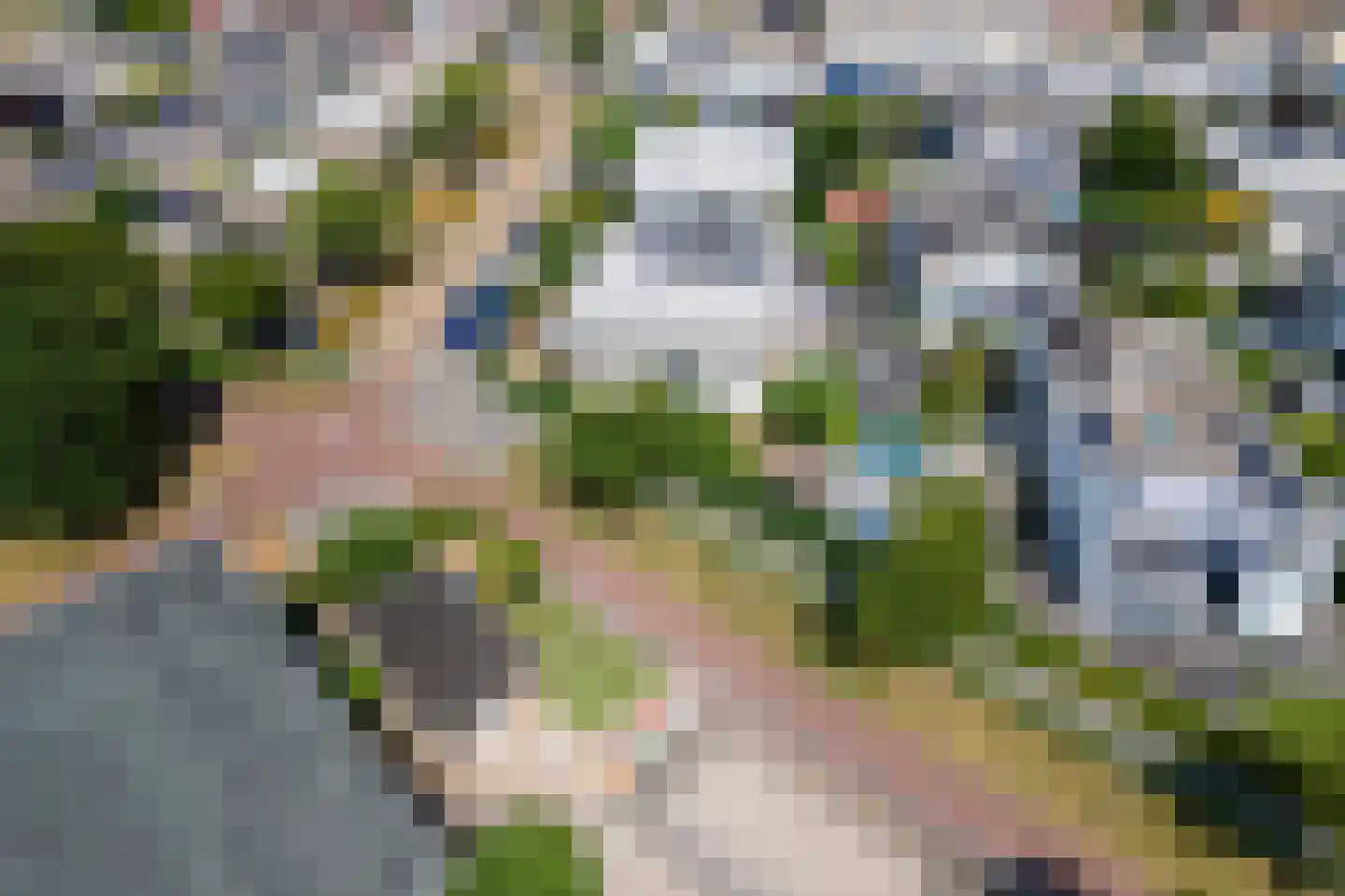 Boterbloem 11 Tiel thumbnail 61