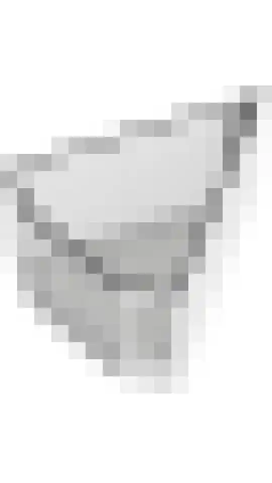 Boterbloem 11 Tiel thumbnail 64