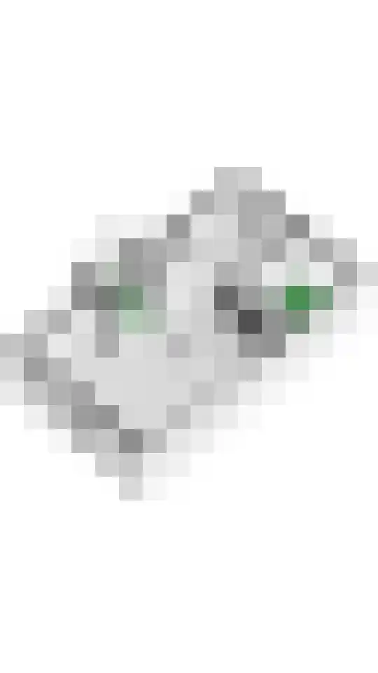 Boterbloem 11 Tiel thumbnail 66