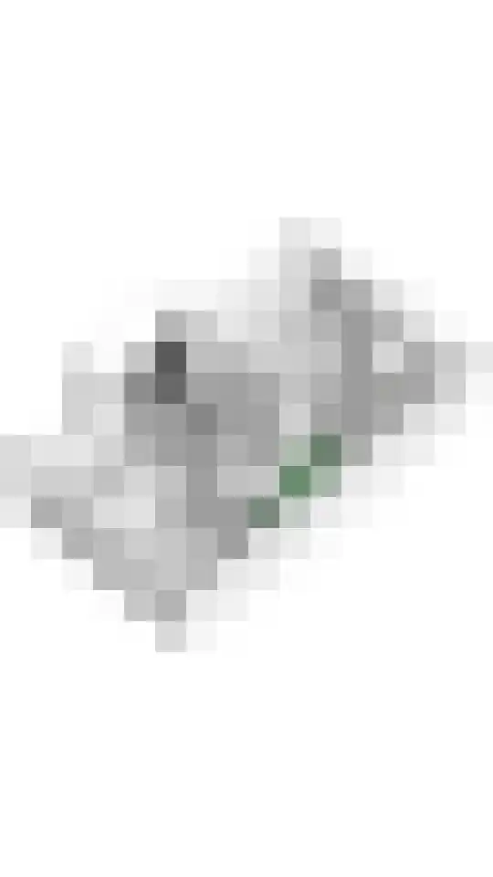 Boterbloem 11 Tiel thumbnail 68