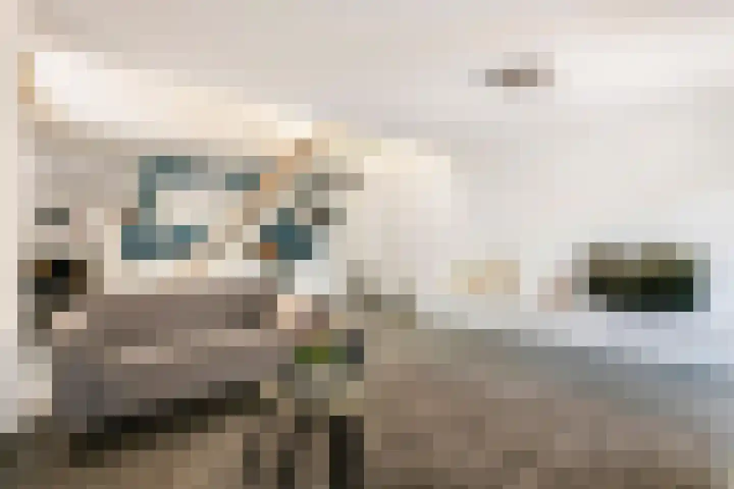 Boterbloem 11 Tiel thumbnail 8