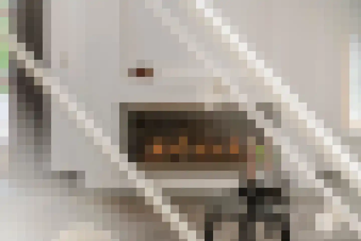 Boterbloem 11 Tiel thumbnail 9