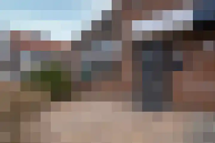 Boterbloem 111 Zwaag thumbnail 26