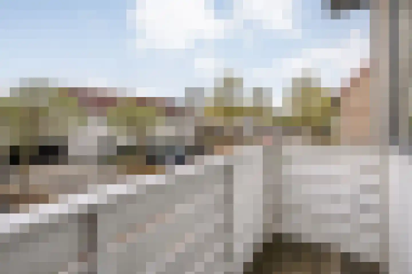 Boterbloem 117 Hardenberg thumbnail 32